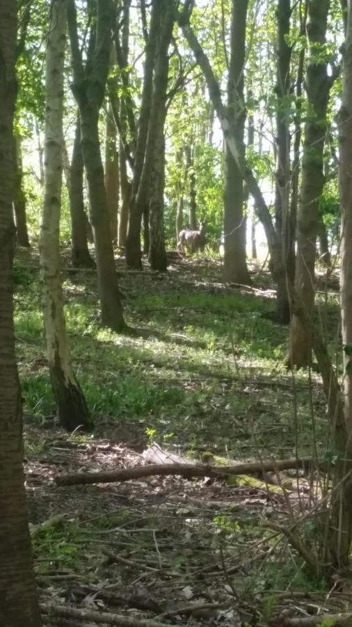 Westhurst Park Bnb Bredon Eksteriør bilde